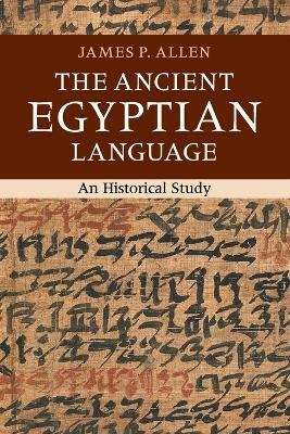 The Ancient Egyptian Language(English, Paperback, Allen James P.)