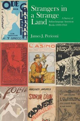 Strangers in a Strange Land(English, Hardcover, Periconi James J.)