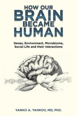 How Our Brain Became Human(English, Paperback, Yankov Yanko A PhD MD)