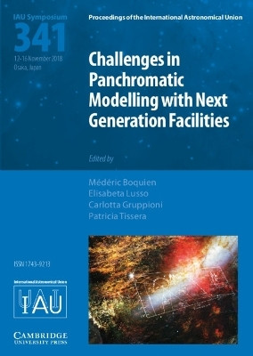 Challenges in Panchromatic Modelling with Next Generation Facilities (IAU S341)(English, Hardcover, unknown)