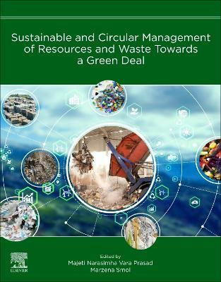 Sustainable and Circular Management of Resources and Waste Towards a Green Deal(English, Paperback, unknown)