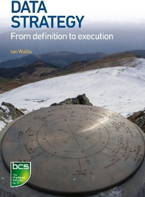 Data Strategy(English, Paperback, Wallis Ian)