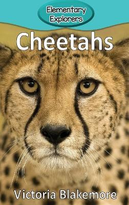 Cheetahs(English, Hardcover, Blakemore Victoria)