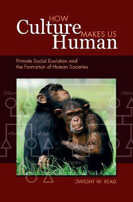 How Culture Makes Us Human(English, Hardcover, Read Dwight W)