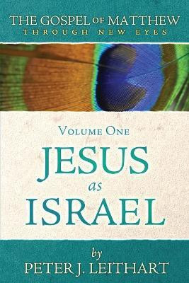 The Gospel of Matthew Through New Eyes Volume One(English, Paperback, Leithart Peter J)
