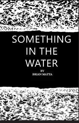 Something in the Water(English, Paperback, Matta Brian)