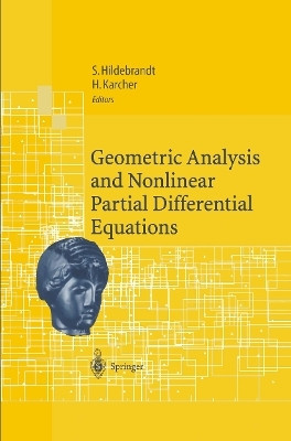 Geometric Analysis and Nonlinear Partial Differential Equations(English, Paperback, unknown)