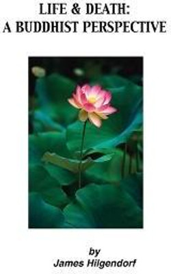 Life & Death(English, Paperback, Hilgendorf James)