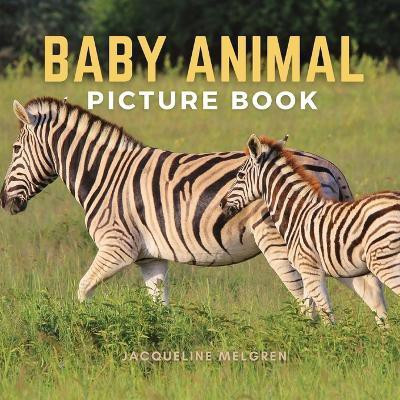 Baby Animal Picture Book(English, Paperback, Melgren Jacqueline)