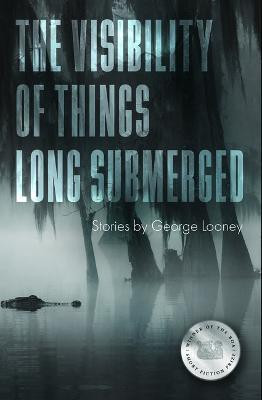 The Visibility of Things Long Submerged(English, Paperback, Looney George)