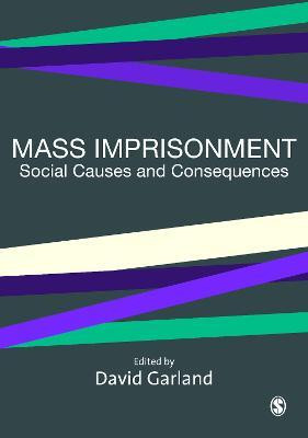 Mass Imprisonment(English, Electronic book text, unknown)