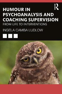 Humour in Psychoanalysis and Coaching Supervision(English, Paperback, Ludlow Ingela Camba)