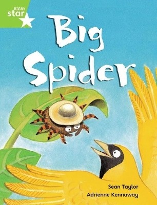 Rigby Star Guided Phonic Opportunity Readers Green: Big Spider Pupil Book (Single)(English, Paperback, unknown)