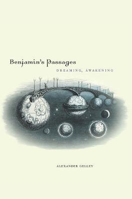 Benjamin's Passages(English, Electronic book text, Gelley Alexander)