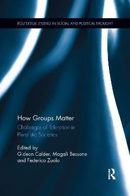 How Groups Matter(English, Paperback, unknown)