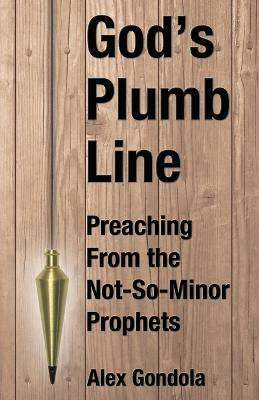 God's Plumb Line(English, Paperback, Gondola Alex A Jr)