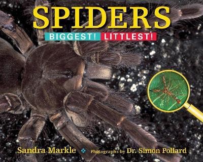 Spiders(English, Paperback, Markle Sandra)