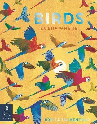 Birds Everywhere(English, Hardcover, Bedoyere Camilla de la)