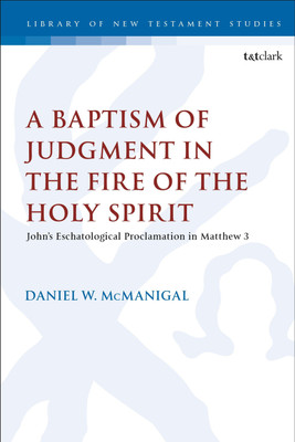 A Baptism of Judgment in the Fire of the Holy Spirit(English, Paperback, McManigal Daniel W. Rev. Dr.)