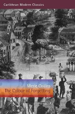 The Colour of Forgetting(English, Paperback, Collins Merle)