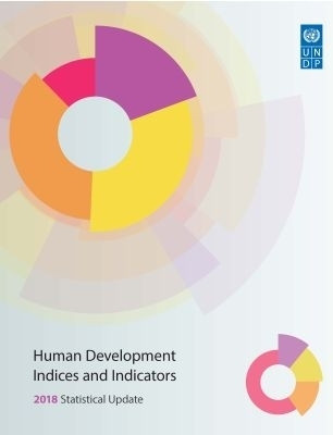 Human Development Indices and Indicators: 2018 Statistical Update(English, Paperback, United Nations Development Programme)