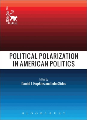 Political Polarization in American Politics(English, Paperback, unknown)