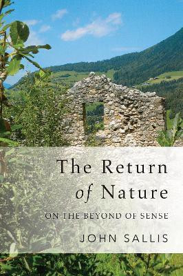 The Return of Nature(English, Paperback, Sallis John)