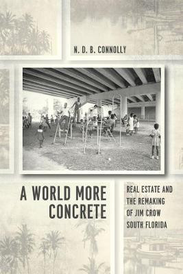 A World More Concrete(English, Hardcover, Connolly N. D. B.)