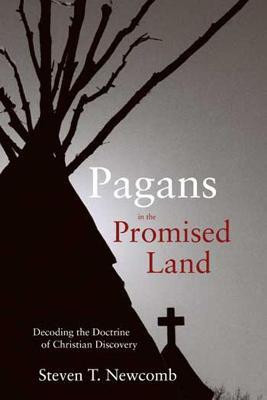 Pagans in the Promised Land(English, Paperback, Newcomb Steven T.)