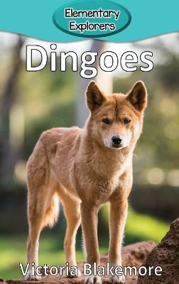 Dingoes(English, Hardcover, Blakemore Victoria)