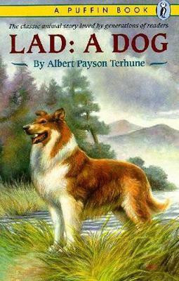 Lad(English, Paperback, Terhune Albert Payson)