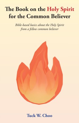 The Book on the Holy Spirit for the Common Believer Bible-based basics about the Holy Spirit from a fellow common believer(Paperback, Tuck W. Choo)