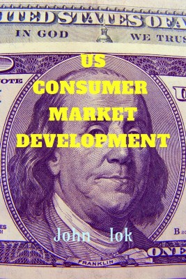 US CONSUMER MARKET DEVELOPMENT(English, Paperback, John Lok)