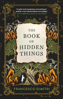 The Book of Hidden Things(English, Paperback, Dimitri Francesco)