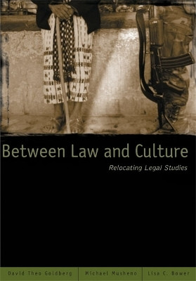Between Law and Culture(English, Paperback, Goldberg David Theo)