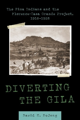 Diverting the Gila(English, Hardcover, DeJong David H.)