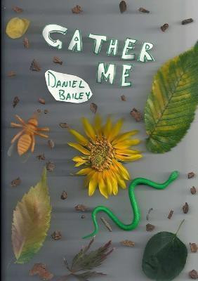 Gather Me(English, Paperback, Bailey Daniel)