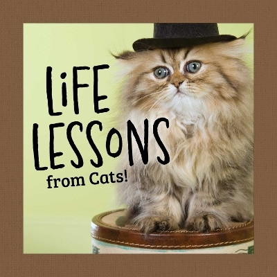 Life Lessons from Cats(English, Hardcover, Peterson Grace)