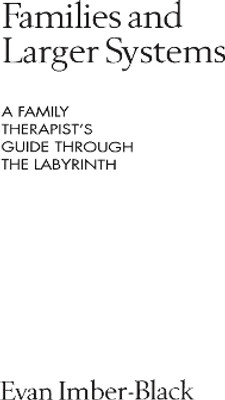 Families and Larger Systems(English, Paperback, Imber-Black Evan)