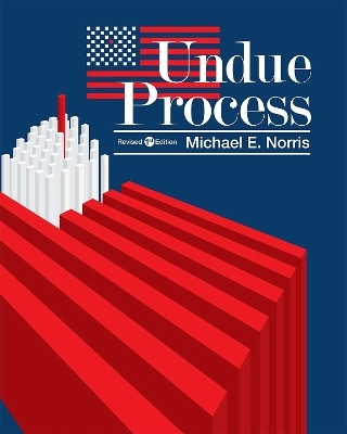 Undue Process(English, Paperback, Norris Michael E.)