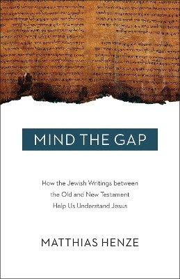 Mind the Gap(English, Paperback, Henze Matthias)