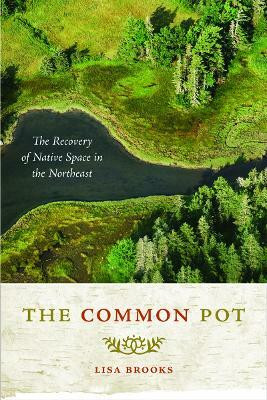 The Common Pot(English, Paperback, Brooks Lisa)