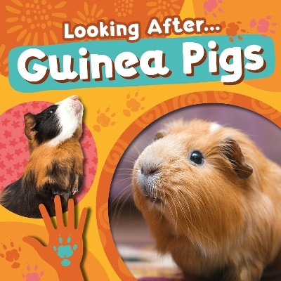 Guinea Pigs(English, Paperback, Phillips-Bartlett Rebecca)