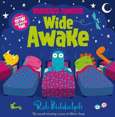 Wide Awake(English, Hardcover, Biddulph Rob)