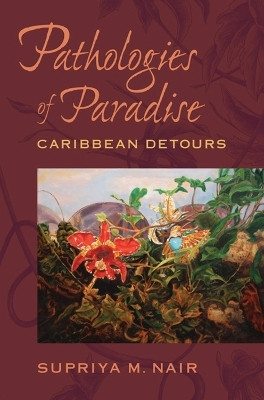 Pathologies of Paradise(English, Hardcover, Nair Supriya M.)
