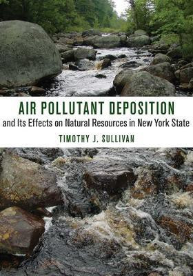 Air Pollutant Deposition and Its Effects on Natural Resources in New York State(English, Paperback, Sullivan Timothy J.)