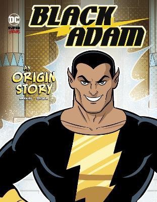 Black Adam(English, Hardcover, Manning Matthew K.)