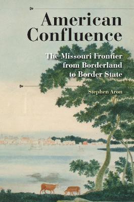 American Confluence(English, Paperback, Aron Stephen)