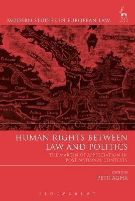 Human Rights Between Law and Politics(English, Electronic book text, unknown)