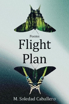Flight Plan(English, Paperback, Caballero M. Soledad)